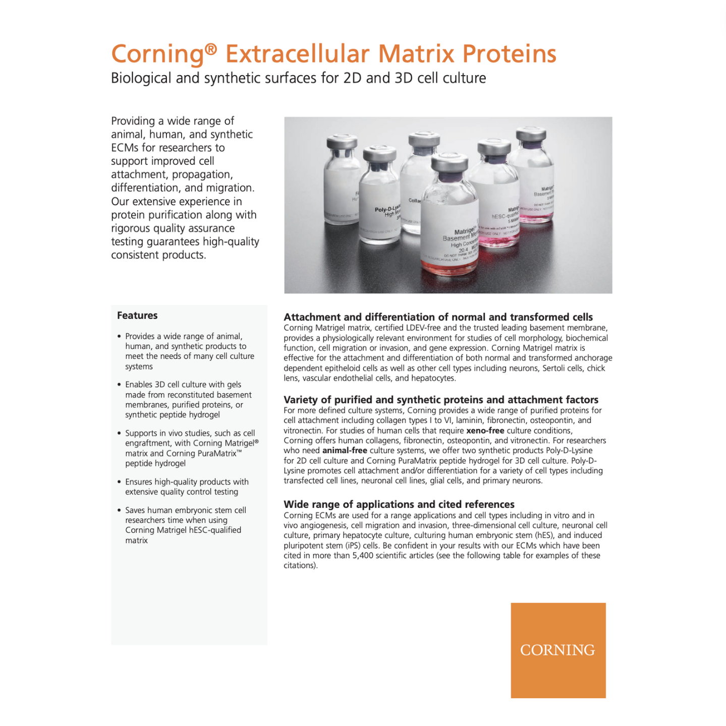Extracellular Matrix Proteins, Matrigel, Collagen, Fibronectin, Laminin
