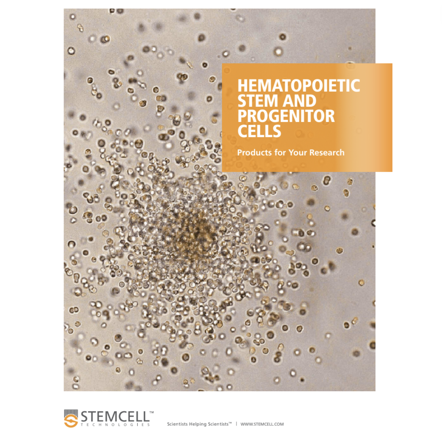 HSC, Hematopoeitic
